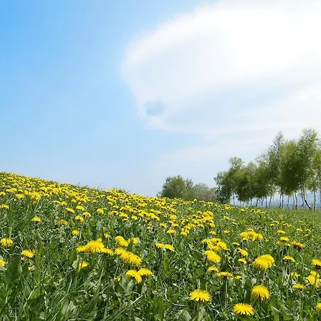 Hotel Gastwirtschaft Hold Monichwald
