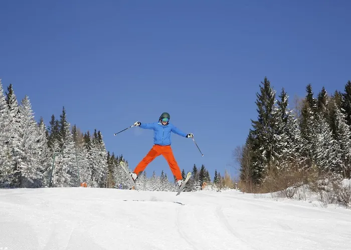 酒店 加斯特伍德夏夫特霍尔德酒店