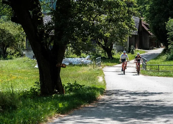 Gastwirtschaft Hold فندق 3*