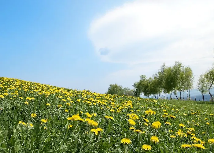 فندق Gastwirtschaft Hold Monichwald